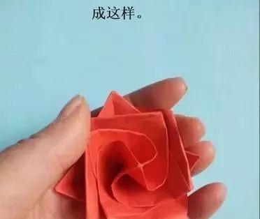 房顶种植垂头玫瑰花的步骤是什么？