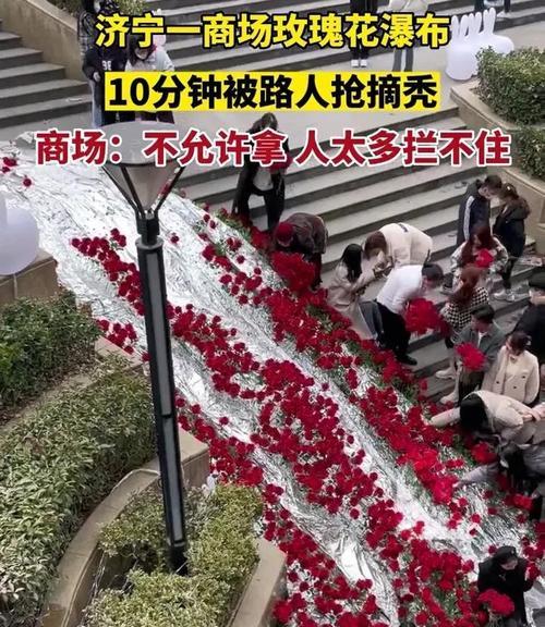 商场为何选择摆放玫瑰？