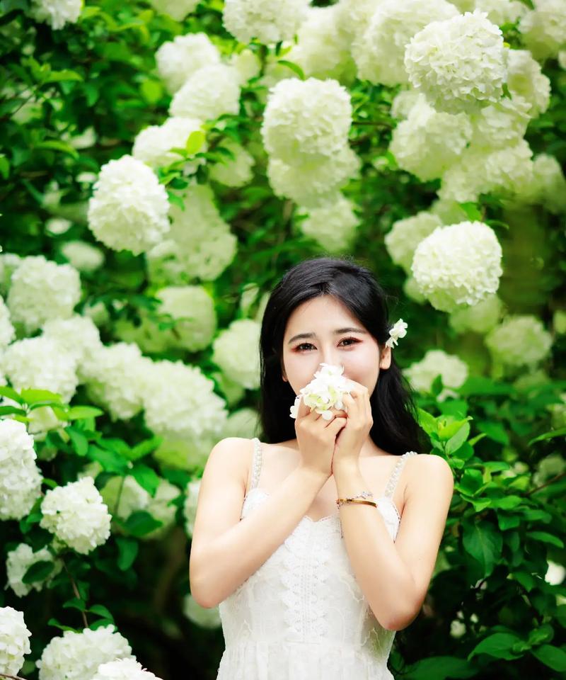 哪种花语充满希望和积极？