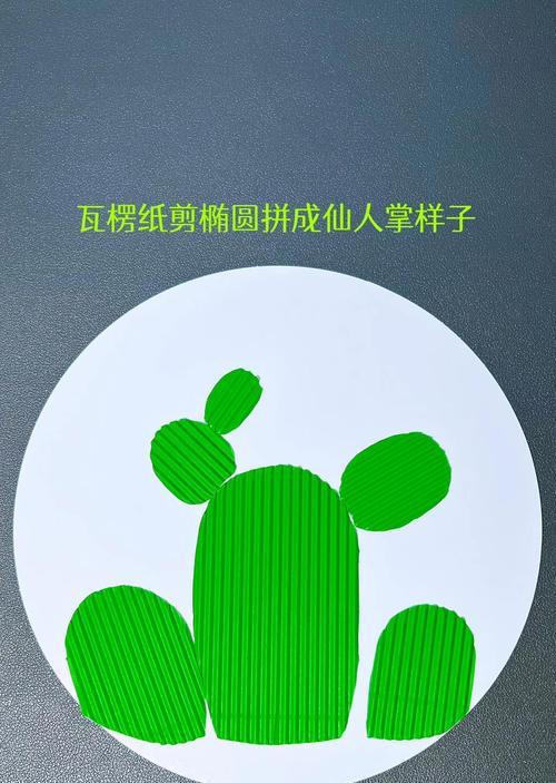 如何进阶种植仙人掌植物？有哪些技巧？