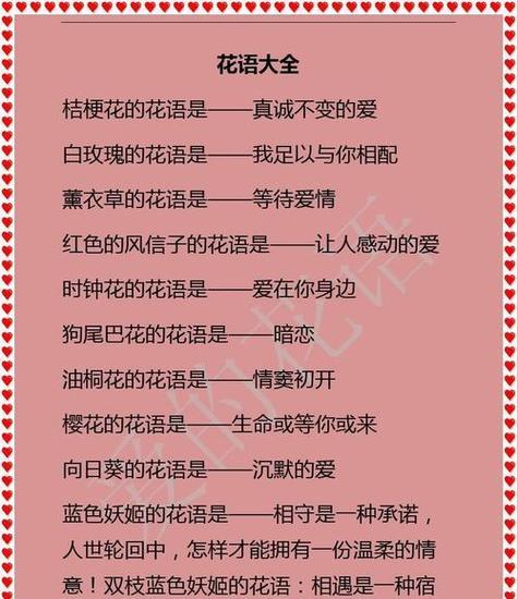 哪种白色花卉的花语最为人熟知？