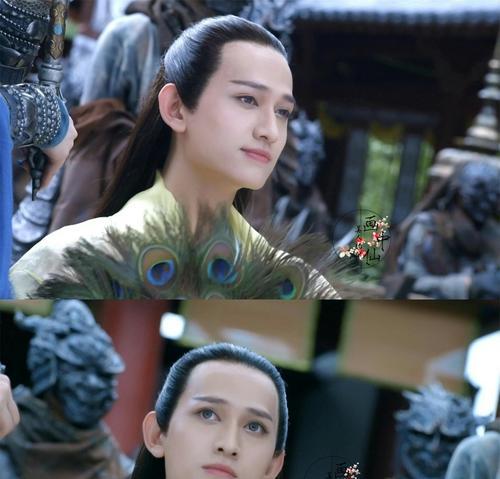 马可的花语是什么？马可花象征着什么？