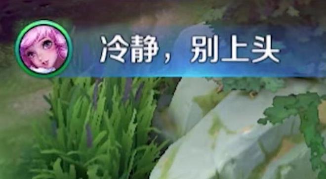 马可的花语是什么？马可花象征着什么？