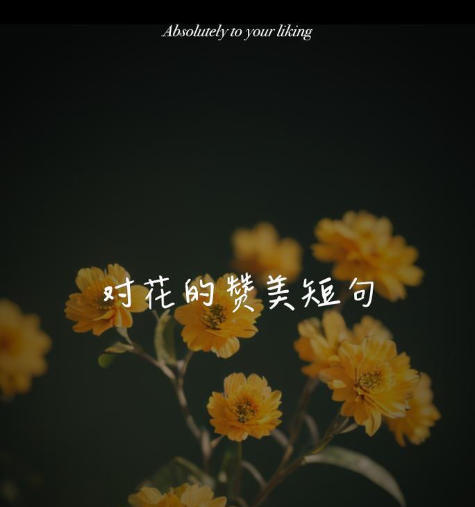 西方花语真美的花是什么？
