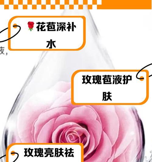 玫瑰花如何开得更美？怎样让玫瑰花苞更吸引人？