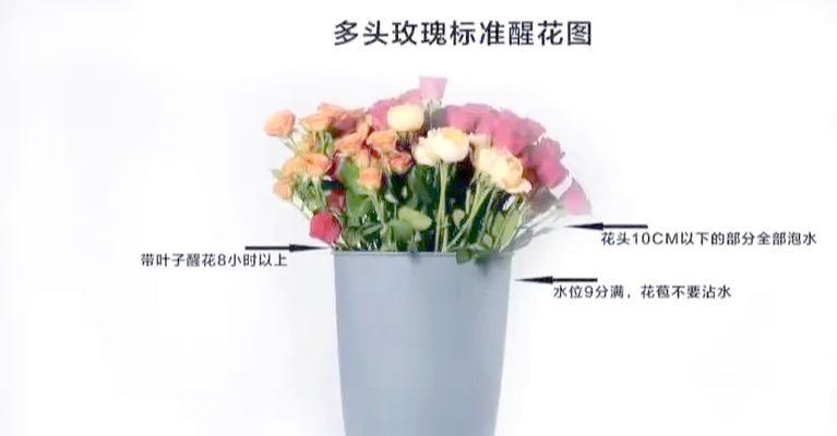 玫瑰花杆剪短的正确方法是什么？