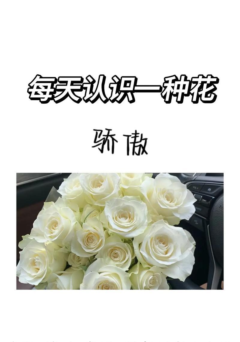 “很荣幸”花语属于哪种花？