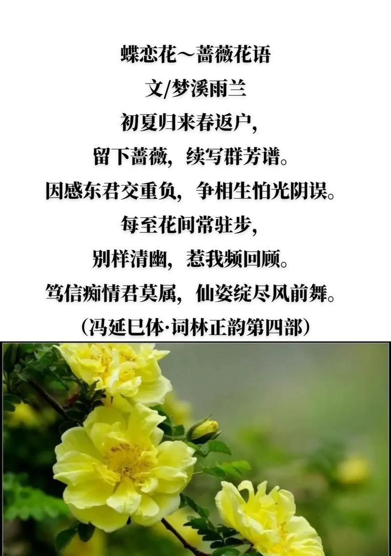 “很荣幸”花语属于哪种花？