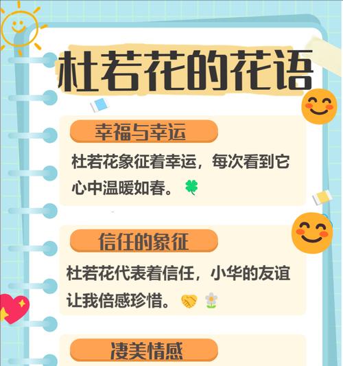 “很荣幸”花语属于哪种花？
