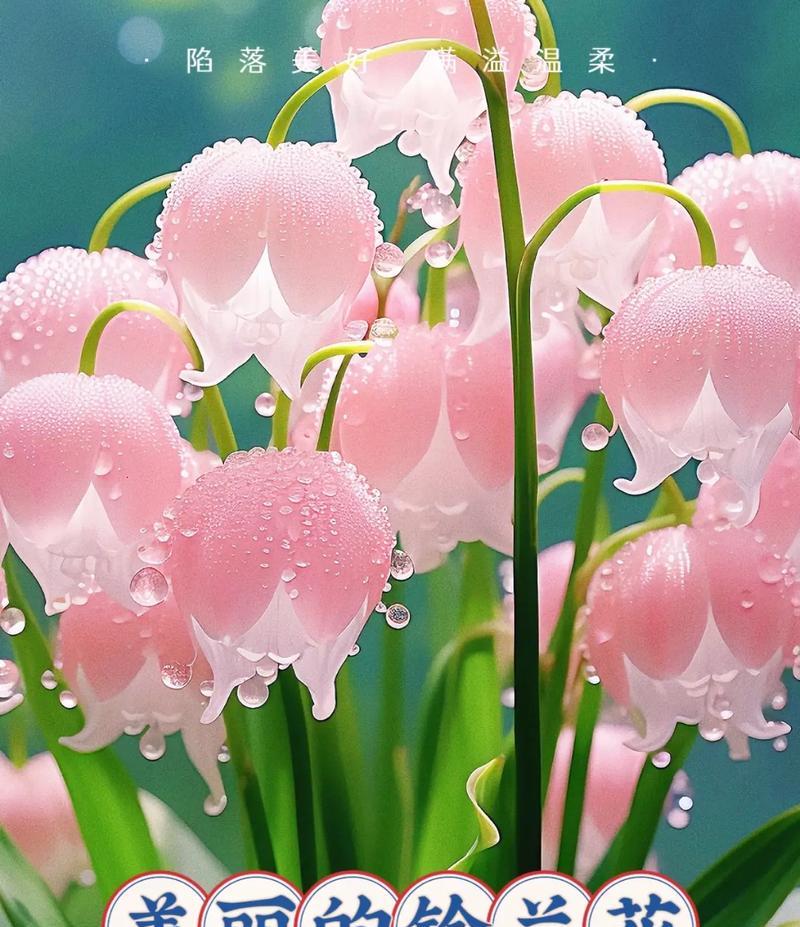 铃兰花的害羞寓意是什么？