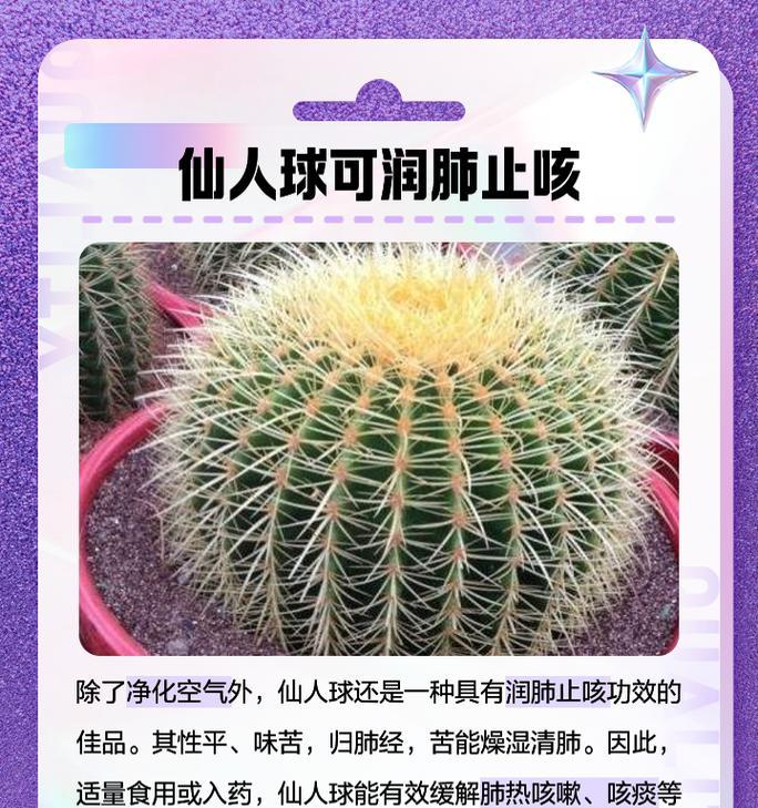 小瓶子仙人球怎么种植方法？瓶子仙人球的正确养护步骤是什么？