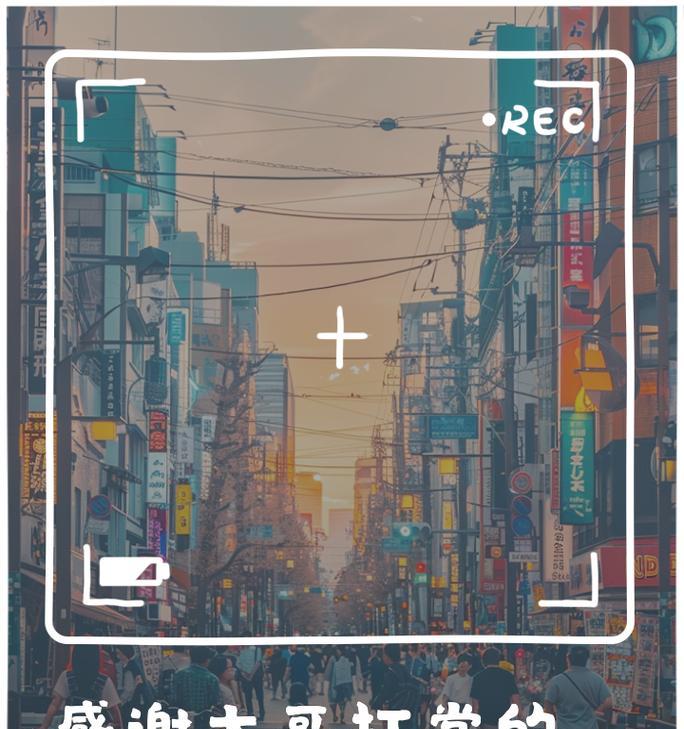 打赏后表达感谢的花语是什么？