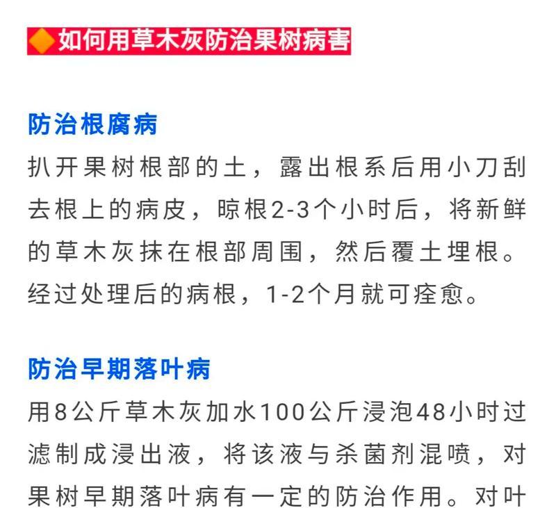 玫瑰花需要施哪种肥料？施肥的最佳时机是什么时候？