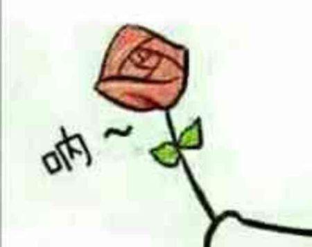 表情包几朵玫瑰花代表什么？玫瑰花表情包的含义是什么？