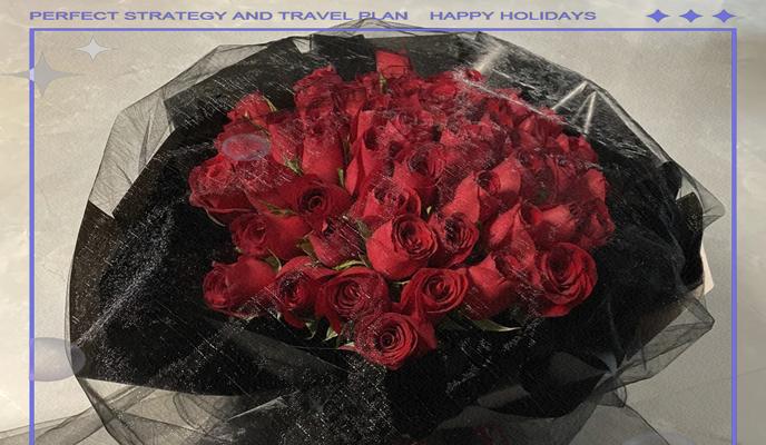 玫瑰花抱花适合哪种花盆？如何选择？