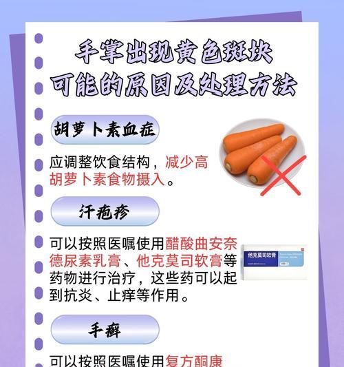 仙人掌发黄腐烂的原因是什么？如何预防和处理？