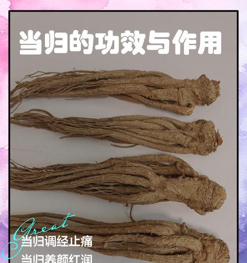 当归是什么花语？当归在花语中承载了哪些意义？