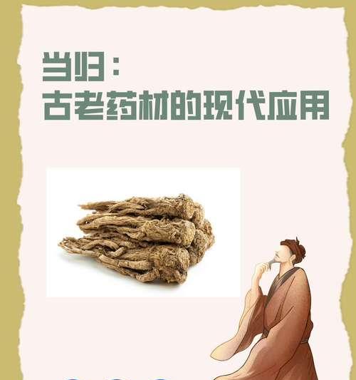 当归是什么花语？当归在花语中承载了哪些意义？
