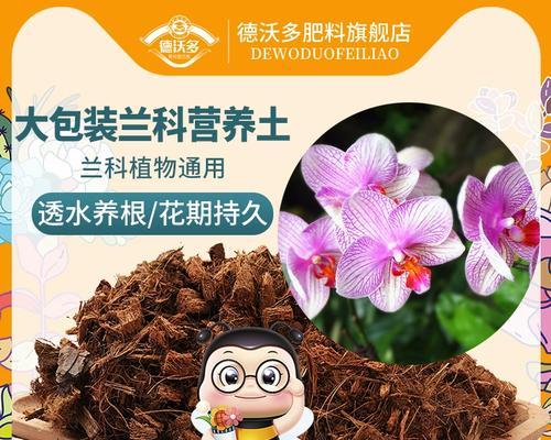 君子兰配土疏松透气的正确方式是什么？