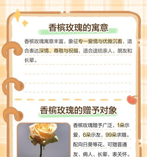 香槟玫瑰小雏菊代表什么含义？花语有哪些特别之处？