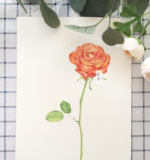 鲛人的花语和寓意是什么？这些花语有何神秘之处？