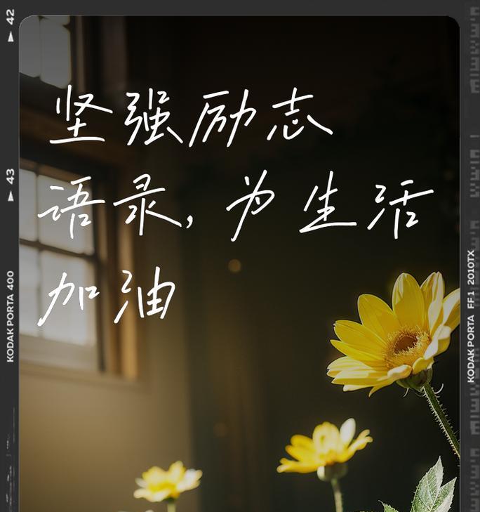坚强不懈的花语是什么？这种花语如何激励我们面对困难？