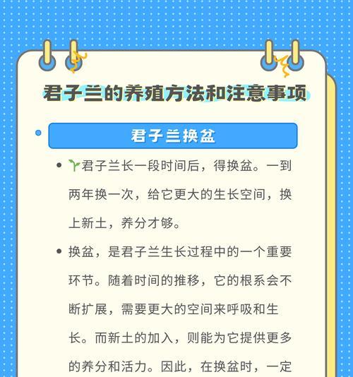 东北君子兰土壤配比方法是什么？