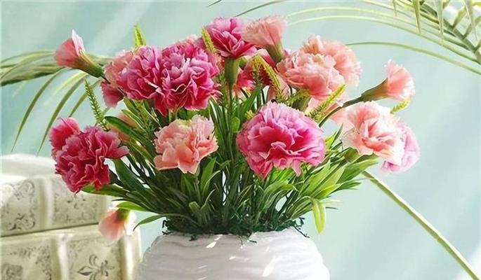 懵懵懂懂的花语代表了什么？