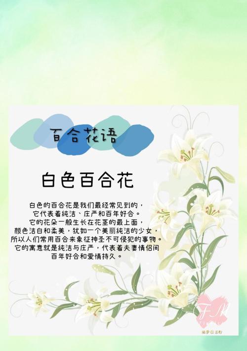 十里温柔的花语是什么花？它传递了怎样的情感？
