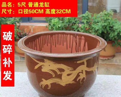 君子兰陶瓷花盆专用盆有何特点？