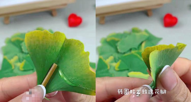 秋天修剪玫瑰花的最佳方法是什么？如何正确修剪？