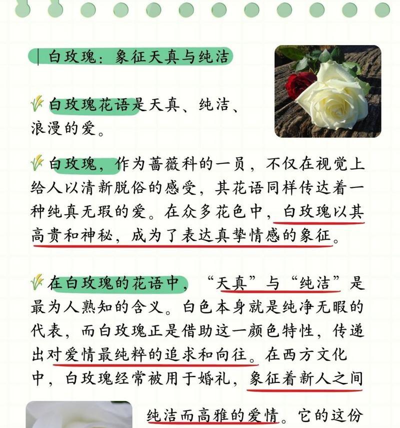 6朵玫瑰花代表什么意思是什么？六朵玫瑰花传递了哪些情感？