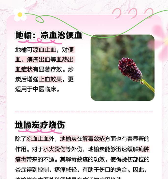 仙人球土壤中木炭的作用是什么？
