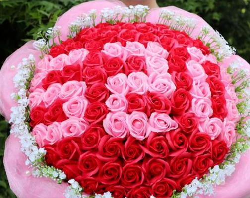 一朵玫瑰的花语是什么？玫瑰朵花代表什么情感？