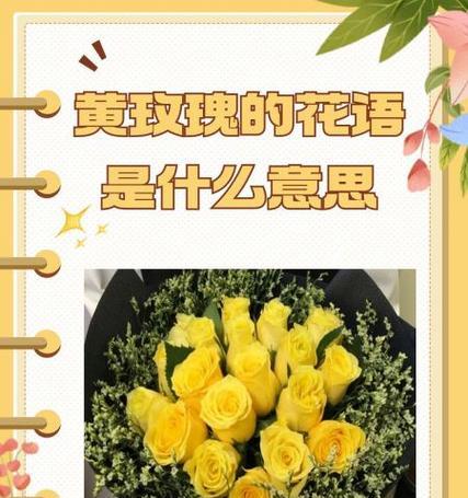 四季多彩玫瑰传递了哪些花语？它们在情感表达中如何使用？