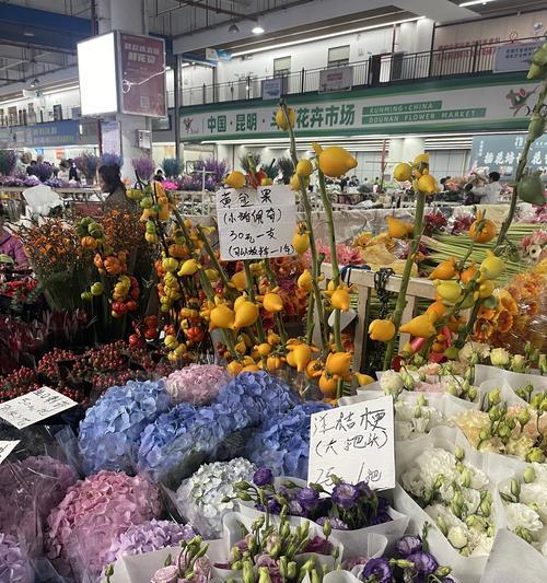 云南花卉种植需要哪些条件？云南花语花卉的种植环境如何？