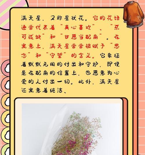 花语和家庭有关的成语是什么？有哪些成语与花语相关？