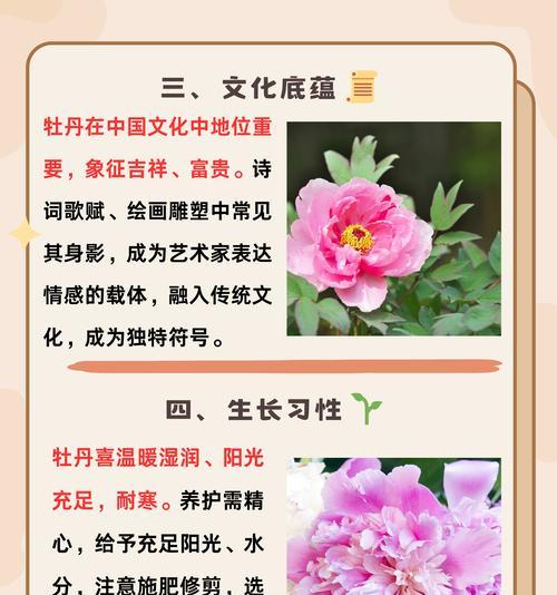 牡丹花发芽后如何管理？有哪些注意事项？