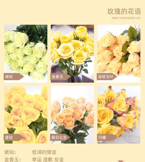 金玫瑰花的花语和寓意是什么？