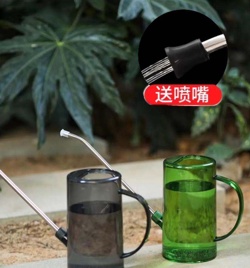 养仙人球浇水壶的正确使用方法是什么？