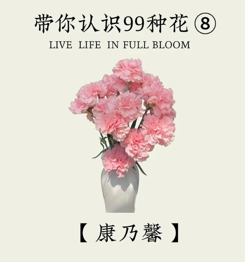 表达父爱的花语有哪些？它们各自代表了什么？