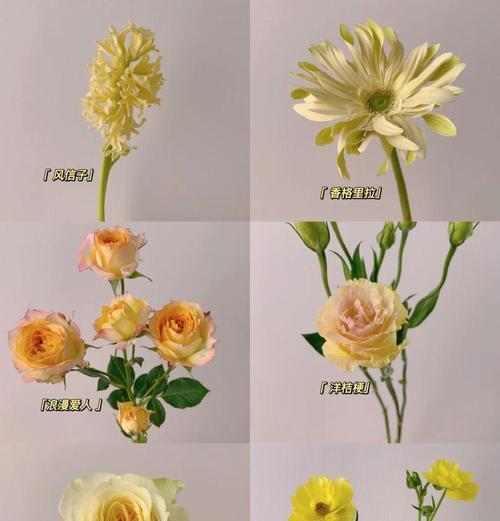 哪些花语表达较为残酷的情感？残酷花语背后的故事是什么？