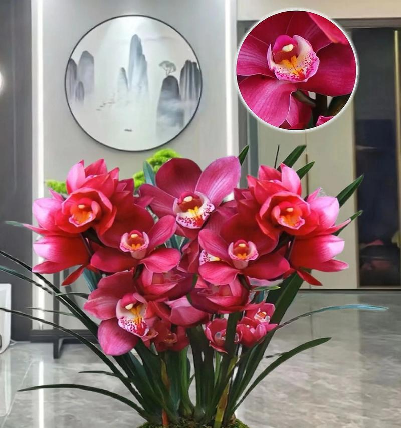 凤眼蓝花的花语是什么？它象征着什么？