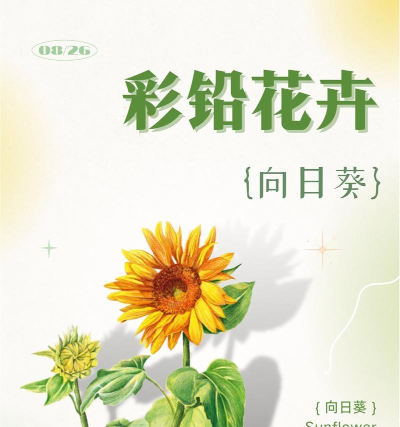 哪种花的花语代表陪伴？陪伴的花语有哪些？