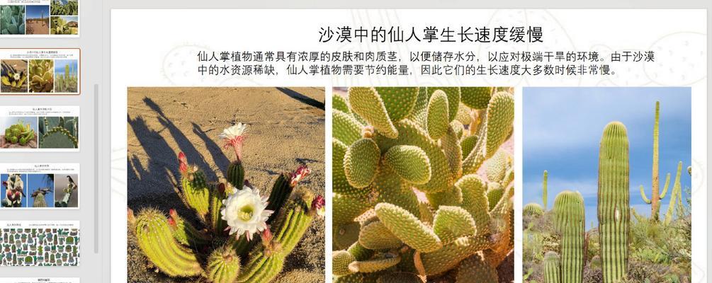 仙人掌繁殖速度过快如何控制？有哪些方法？