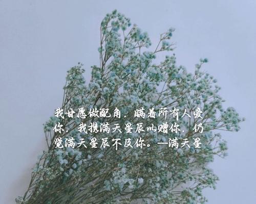 狐狸我喜欢你的花语是什么意思？花语背后隐藏了什么情感？