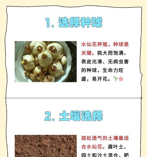 仙人掌茎用水养的方法是什么？如何成功水培？