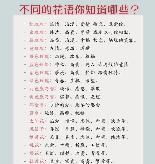 用花语来形容感情，有哪些选择？