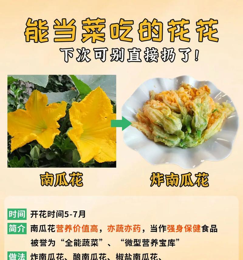 哪种花的花语象征着美食？它的寓意是什么？