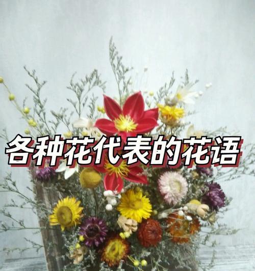 茉莉白茶的寓意和花语是什么？它代表了怎样的情感？